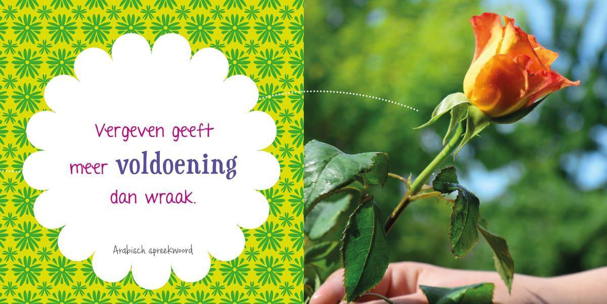 Het spijt me, Gerd de Ley 9789461888716 Boeken