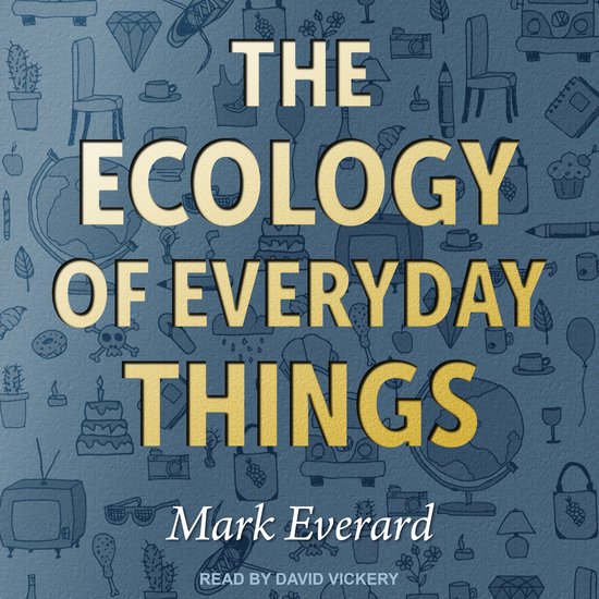 The Ecology of Everyday Things - cover