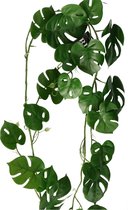 Bellatio Design kunstplant/hangplant slinger - 2x - Monstera/gatenplant - groen - 180 cm lang - planten guirlandes