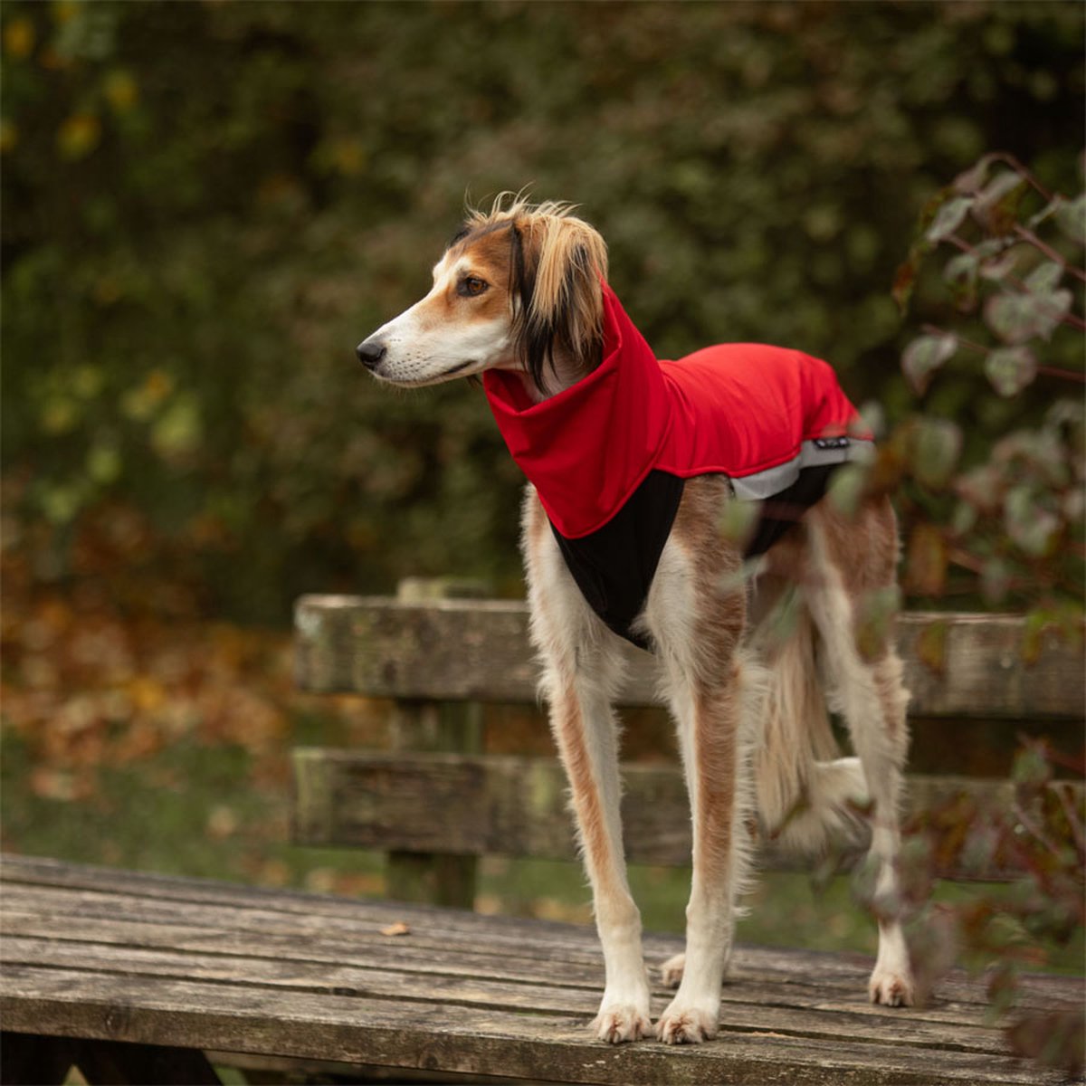 Hondenjas van Softshell - Rood - Softshell body - Windhond - Ridgeback - Rapid Dog Wear - Maat XXL