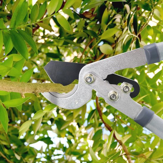 Tuinschaar set - Heavy Duty boomscharen - Professionele heggenschaar - 203 cm scherpe snoeischaar - Boom- en struikverzorgingsset van Merkloos	 — afbeelding 4