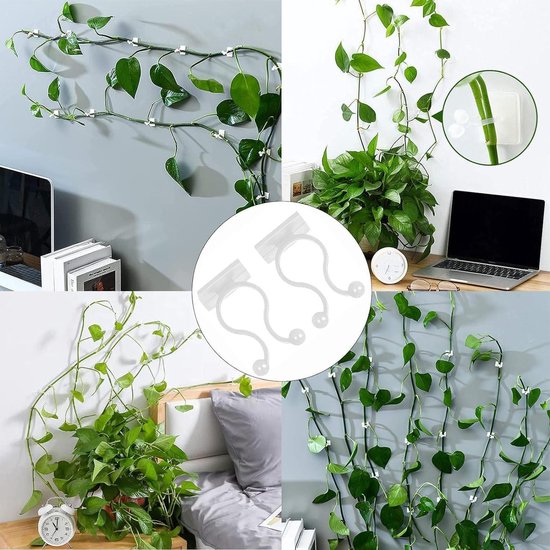 50 stuks plantenclips, wandhouder, zelfklevende bevestiging, grote 50 stuks plantenclips, wandhouder, zelfklevende bevestiging, grote