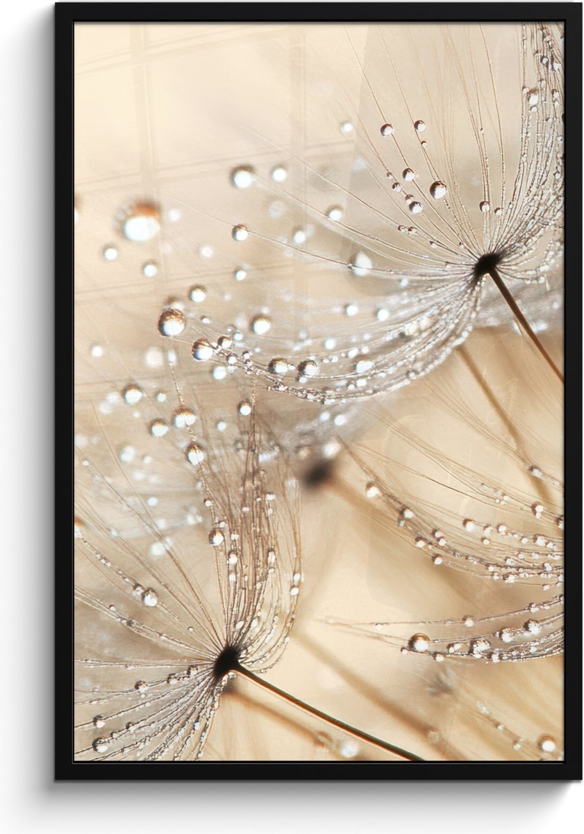 FrameYourWall Poster in lijst - Fotolijst 60x90 cm - Posters - Paardenbloem - Abstract - Natuur - Beige - Posterlijst zwart - Decoratie - Wanddecoratie woonkamer - Muurdecoratie slaapkamer Paardenbloem - Water
