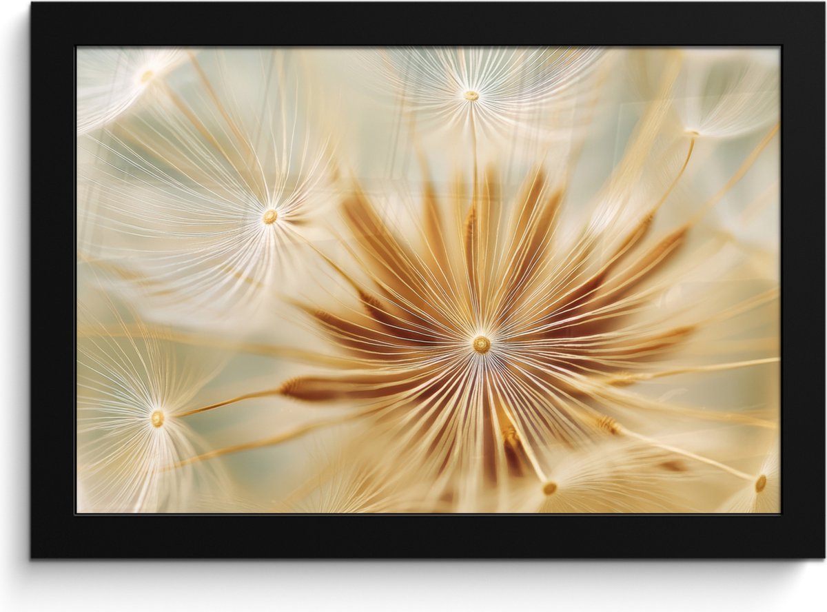 FrameYourWall Poster in lijst - Fotolijst 30x20 cm - Posters - Paardenbloem - Beige - Abstract - Modern - Natuur - Posterlijst zwart - Decoratie - Wanddecoratie woonkamer - Muurdecoratie slaapkamer Paardenbloem - Abstract