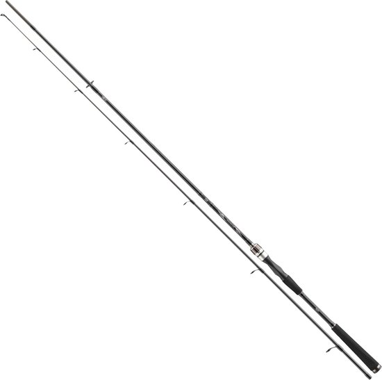 Daiwa - Ninja X - Spin - 300 cm - 30-60 g kopen? De Roofvisser