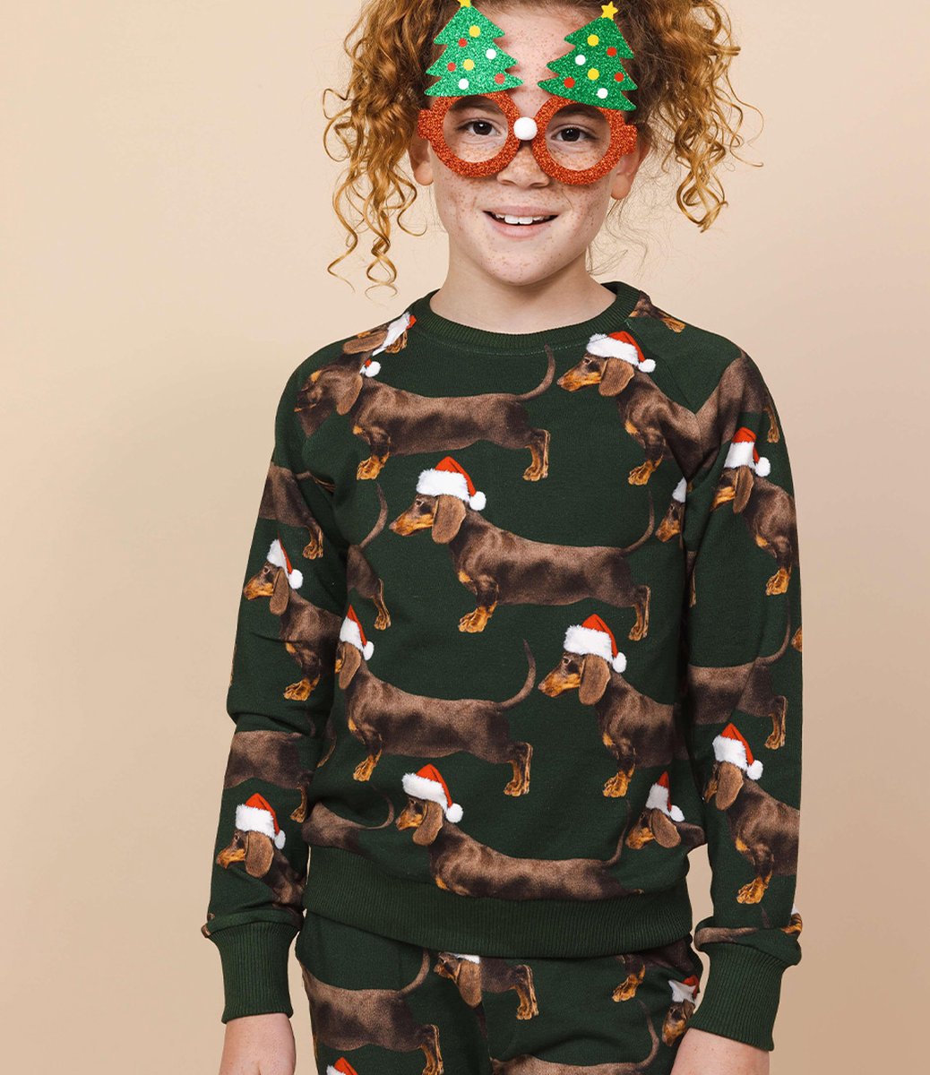 Snurk –Sweater/Trui kinderen - James X-mas – Maat: 92