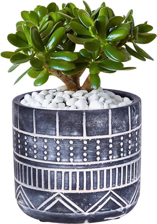 Paar vintage geëmailleerde keramische plantenpotten - Kringwinkel Paar vintage geëmailleerde keramische plantenpotten - Kringwinkel