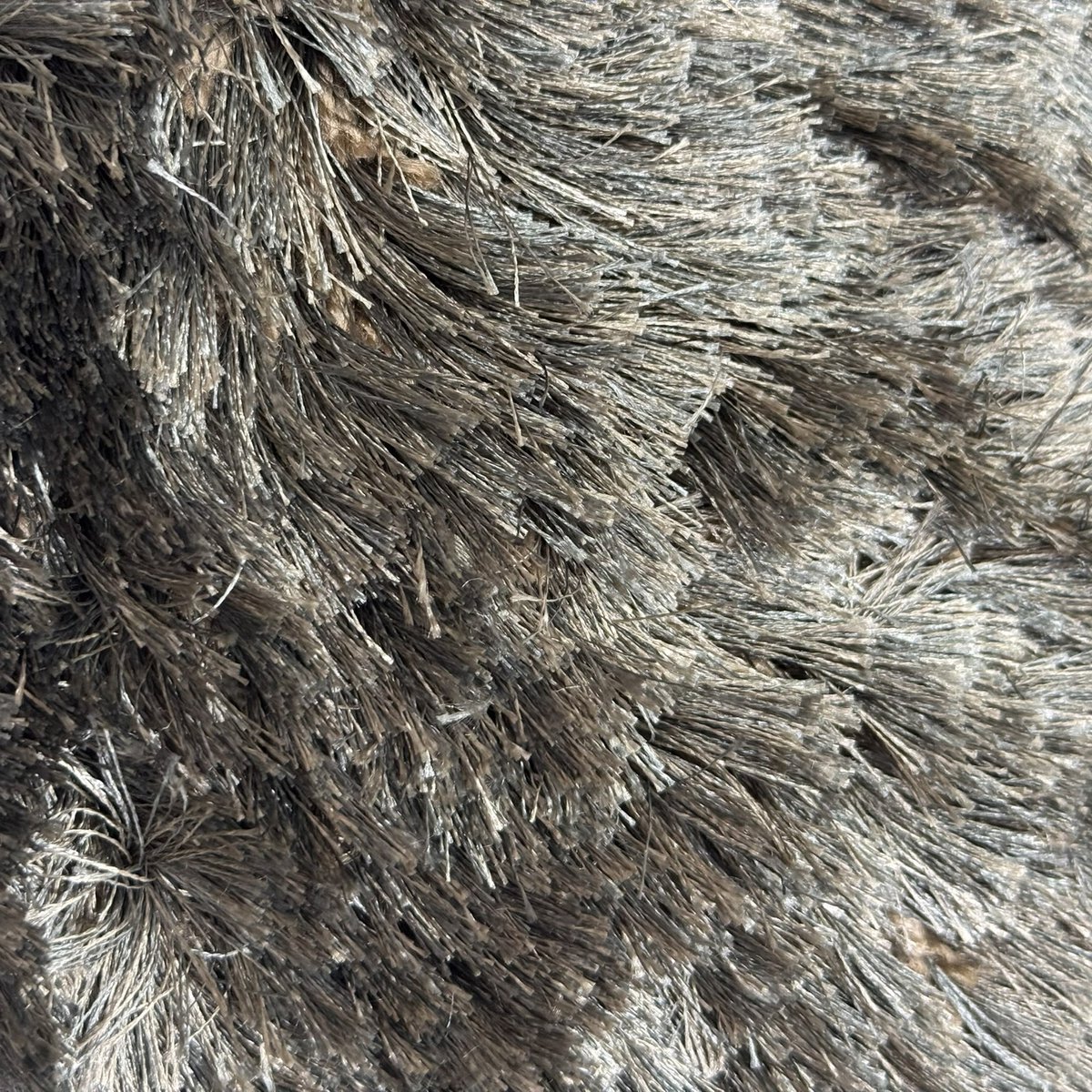 Vloerkleed Four Seasons Ash | 240 x 340 cm