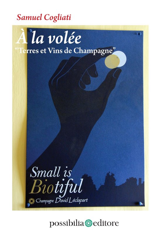 À la volée – Terres et Vins de Champagne - cover