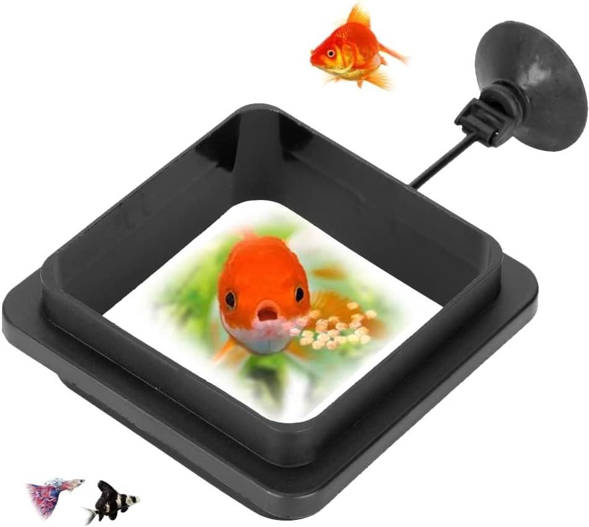 MK Stoer -Visvoederring voor Aquarium Vissen - Voedingsstation Opdrijvend - Voedselring met Zuignappen - Geschikt voor Vissenvoer - Aquarium Accessoires