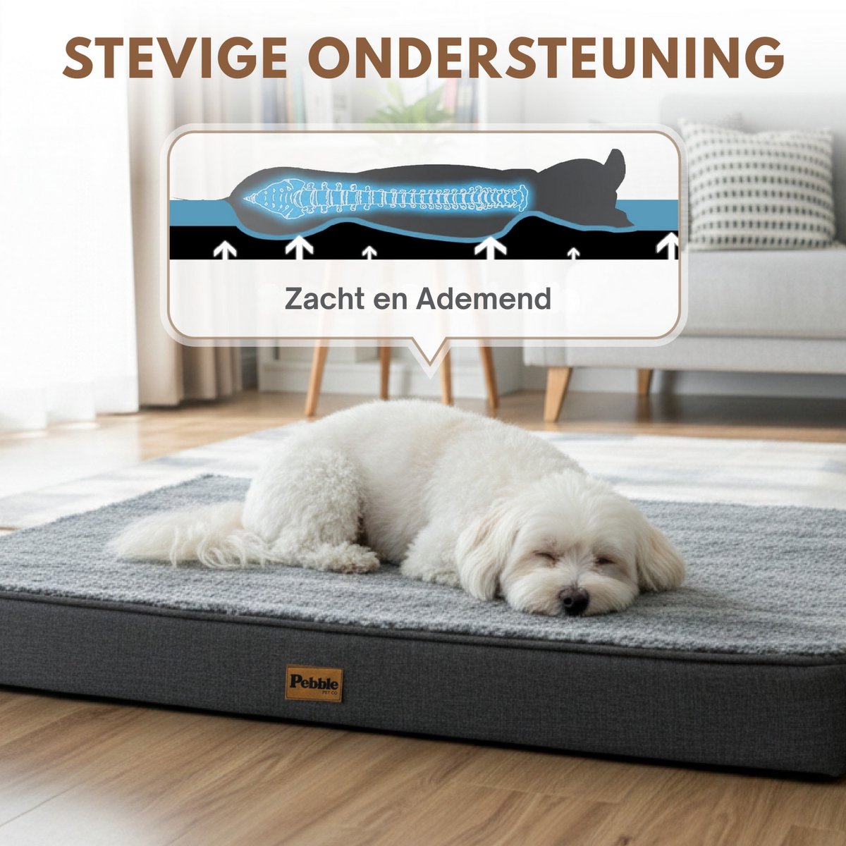 Pebble Orthopedisch Hondenkussen 75x50 cm - Hondenmand & Benchkussen - Dierenkussen - Voor Kleine tot Middelgrote Honden - Hondenbed – foto 2
