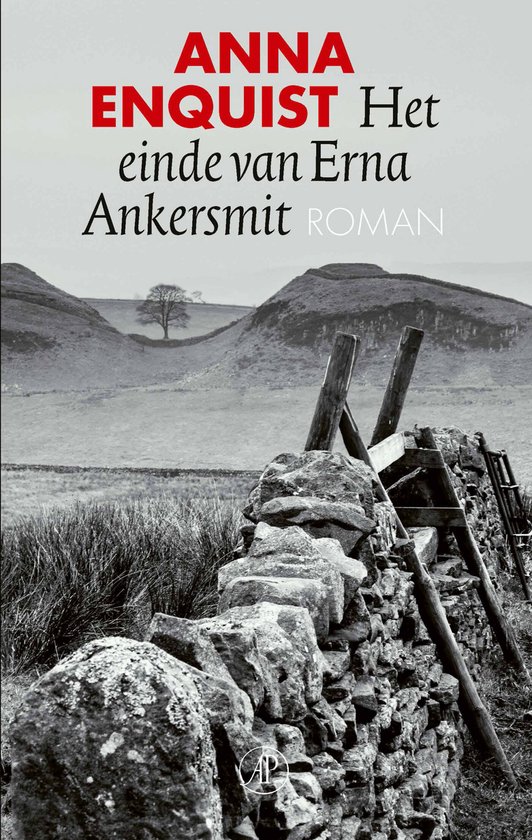 Het einde van Erna Ankersmit - cover