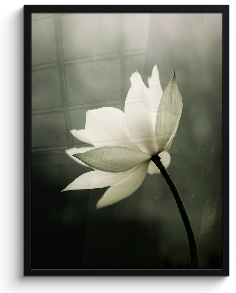 FrameYourWall Poster in lijst - Fotolijst 50x70 cm - Posters - Wit - Lotus - Donker - Bloem - Posterlijst zwart - Decoratie - Wanddecoratie woonkamer - Muurdecoratie slaapkamer Lotus - Bloem