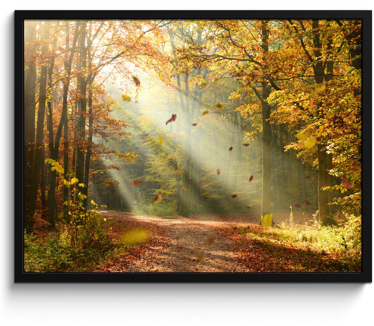 FrameYourWall Poster in lijst - Fotolijst 70x50 cm - Posters - Bos - Bomen - Herfst - Zon - Herfstbladeren - Natuur - Posterlijst zwart - Decoratie - Wanddecoratie woonkamer - Muurdecoratie slaapkamer Groen