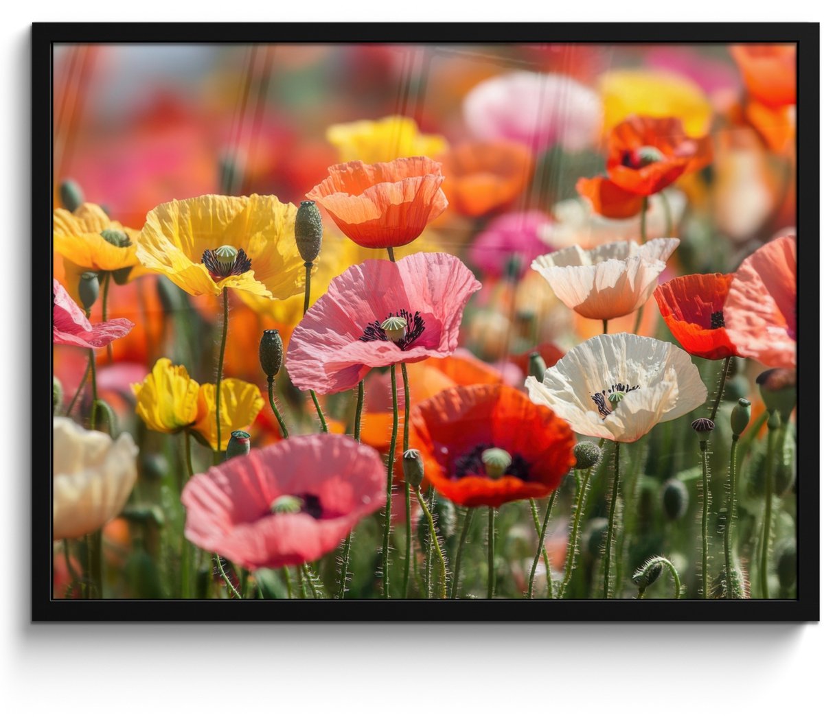 FrameYourWall Poster in lijst - Fotolijst 70x50 cm - Posters - Bloemenveld - Klaprozen - Kleurrijk - Posterlijst zwart - Decoratie - Wanddecoratie woonkamer - Muurdecoratie slaapkamer
