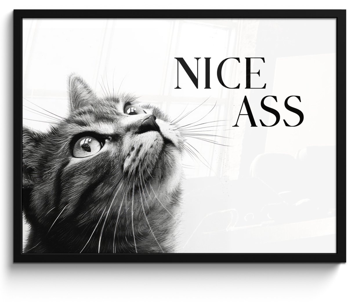 Poster in lijst - Fotolijst 70x50 cm - Posters - Katten - Nice ass - Quote - Zwart wit - S