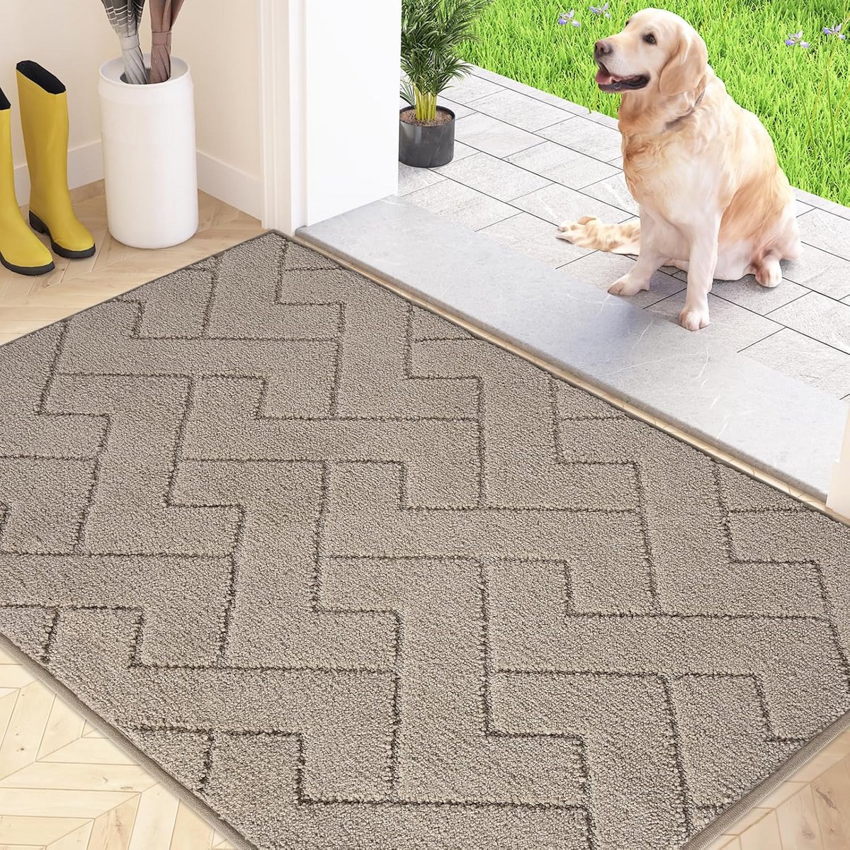 Grote Antislip Binnendeurmat 80x120 cm - Super Absorberend voor Modder en Hondenpoten