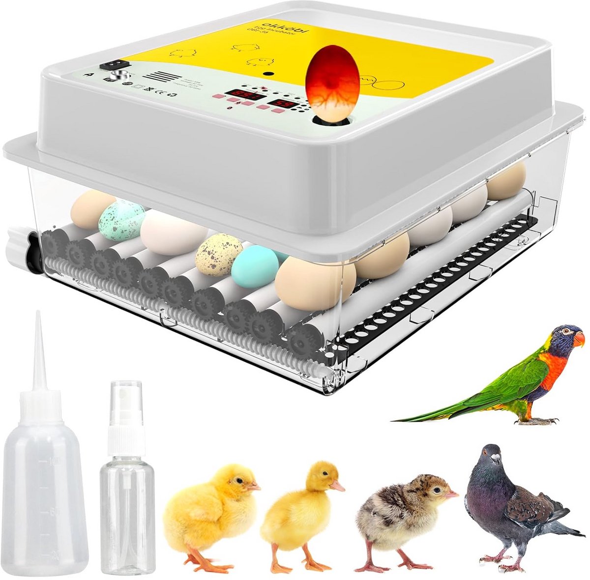 Broedmachine voor 36 eieren, geschikt voor kip, eend, gans, kwartel en fazant, automatisch eieromrolsysteem, temperatuurregeling, vochtigheidscontrole, inclusief eierkaars en transparante deksel - OBI-36