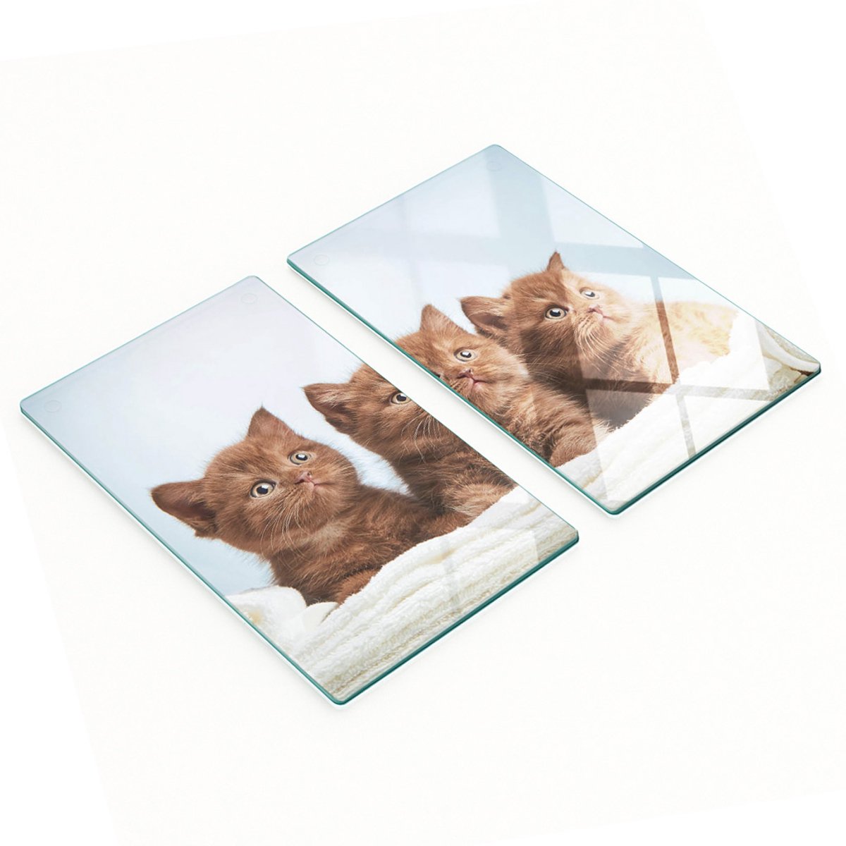 Set van twee glazen keukenplanken/handdoeken voor kittens 2x30x52 cm