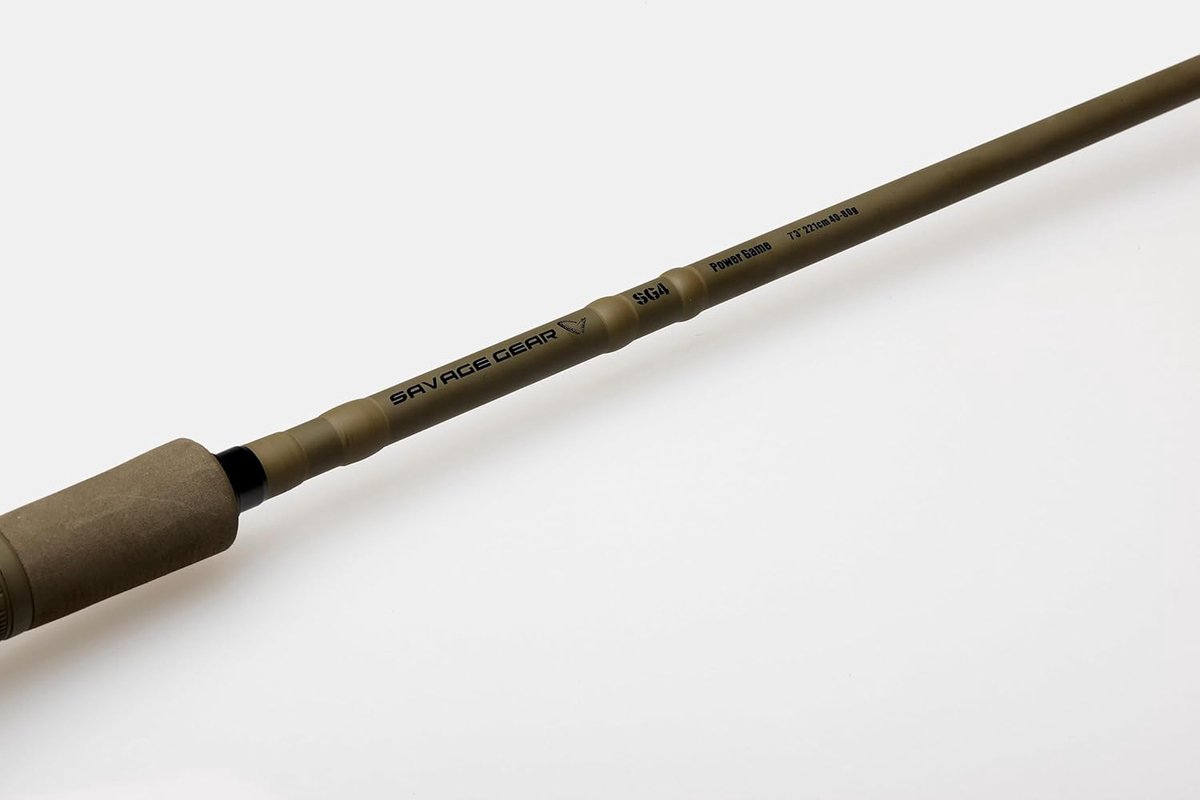 Heavy-Duty Baitcasting Hengel voor Groot Kunstaas en Roofvissen - 2.59M 60-110G
