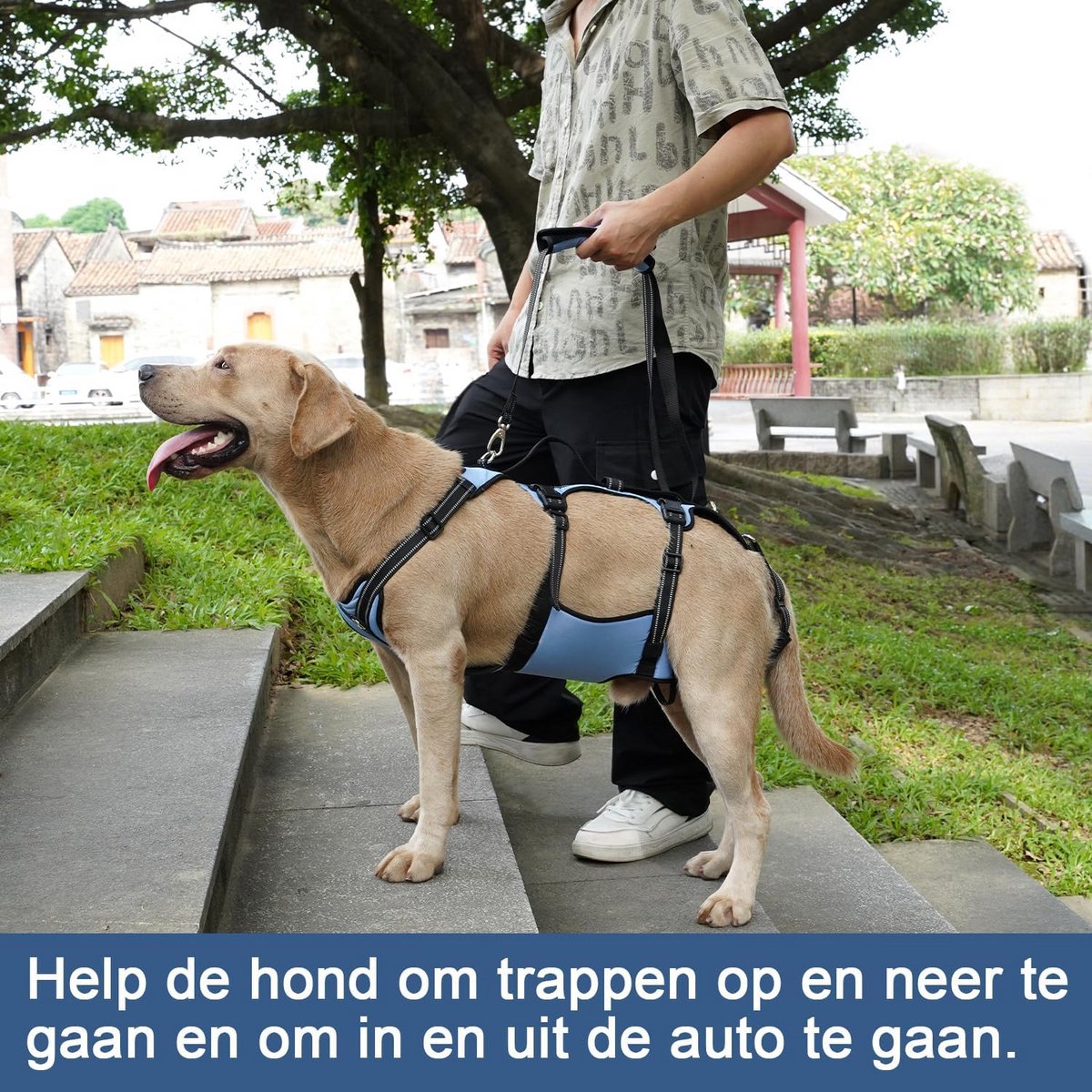 Verstelbare Hondenlift Tuig voor Volledige Lichaamsondersteuning - Geschikt voor Rehabilitatie en Oude Honden