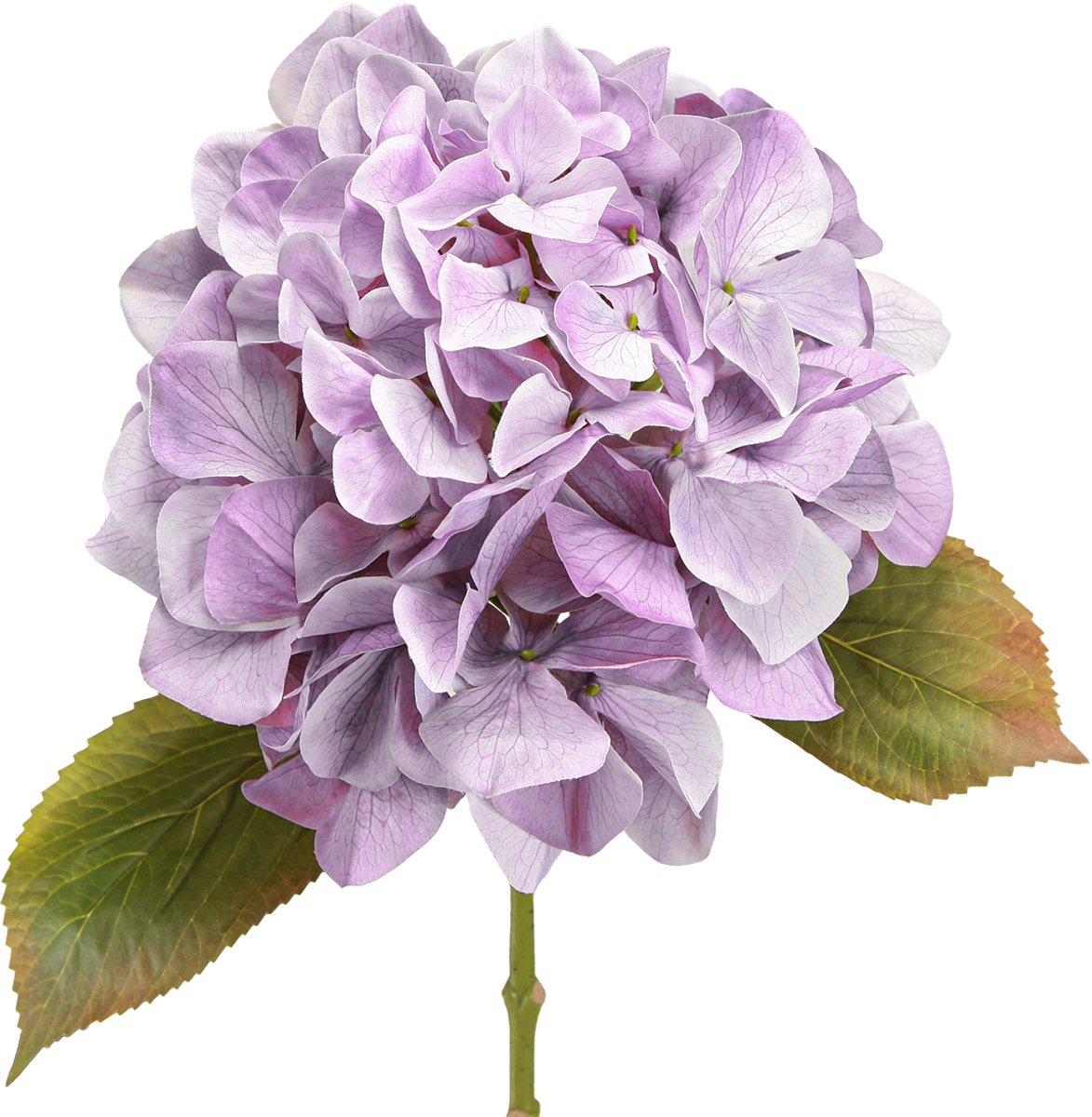 Viana Decoratie Hortensia's Kunstbloemen Paarse Bloesem Ø18cm 69cm 2st