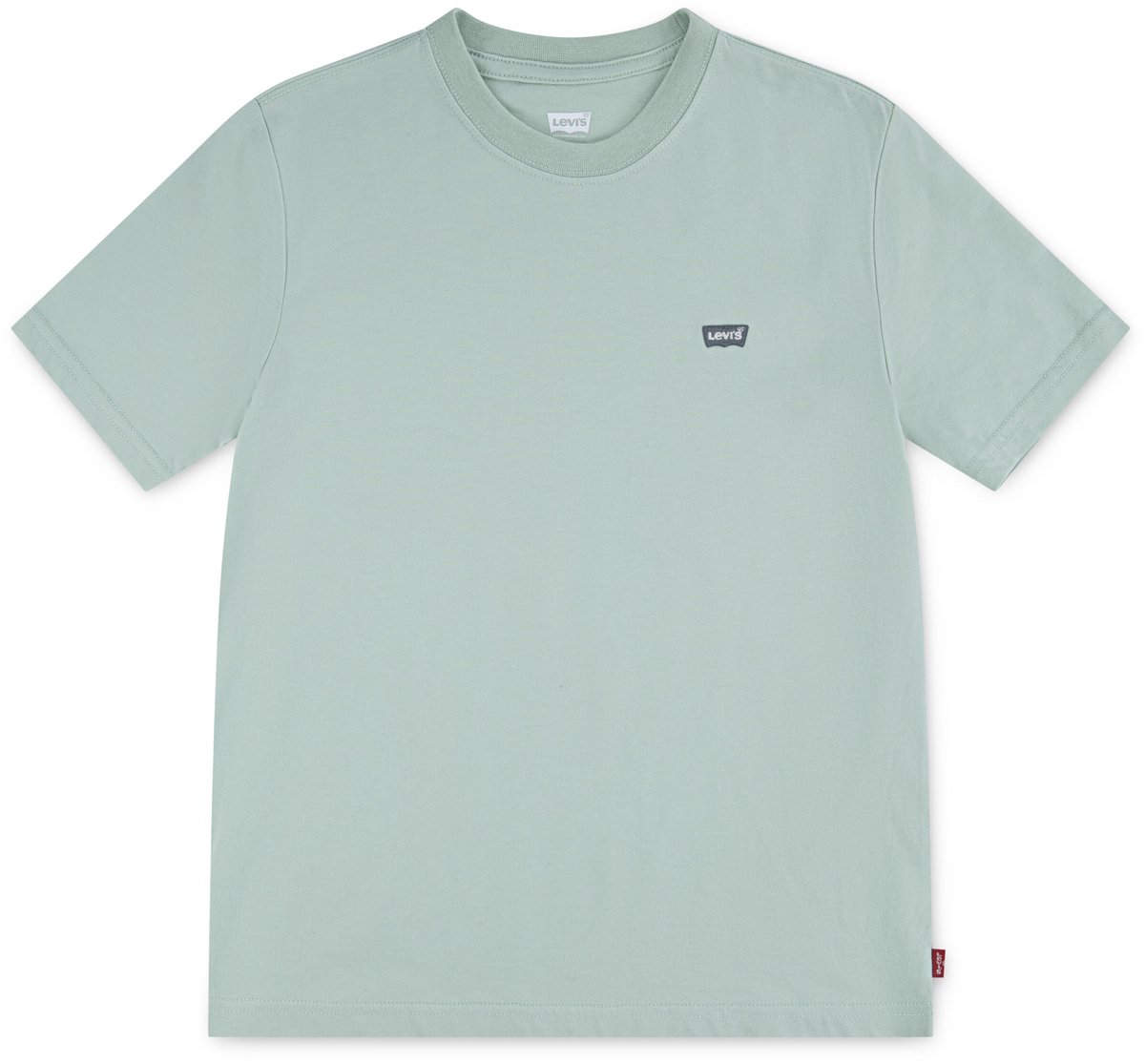 Levi´s ® Kids Batwing Chest Hit T-shirt Met Korte Mouwen 12 Years Jongen Groen