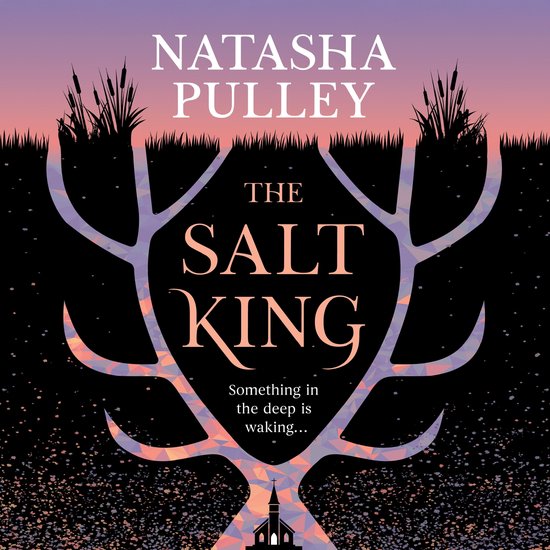 The Salt King - cover