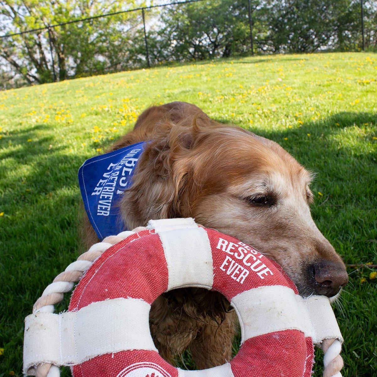 Honden Touwspeelgoed - Touwtrekspeelgoed - Actief Spelen - Stevig Canvas Materiaal - 255 cm groot - Rood