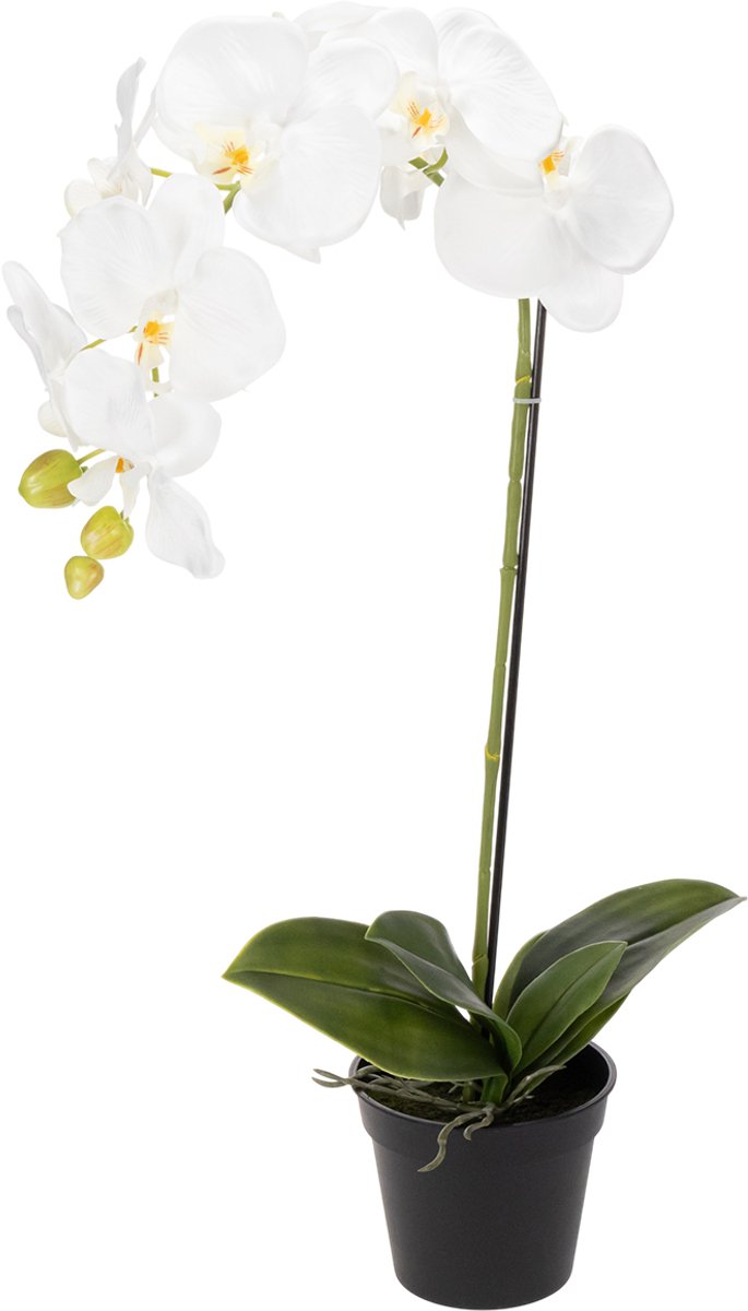 Viana Kunstmatige orchidee, bedrieglijk realistisch, voor decoratie in kanto Wit