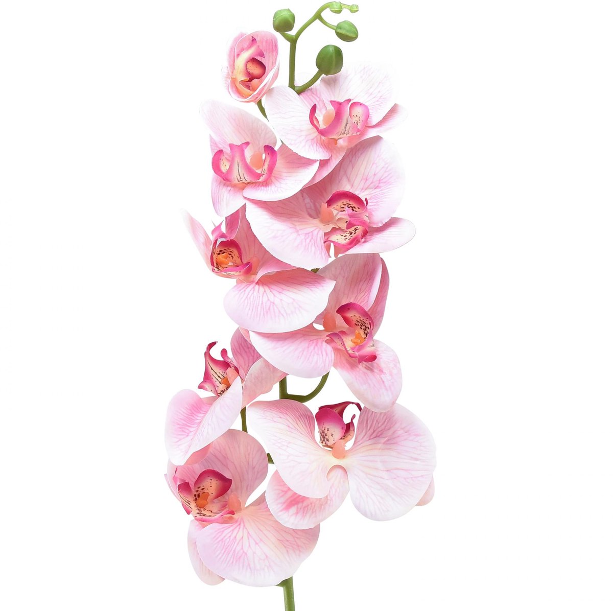 Orchidee Phalaenopsis kunst 9 bloemen roze wit 96cm