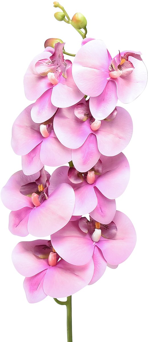 Orchidee Phalaenopsis kunst 8 bloemen roze 104cm
