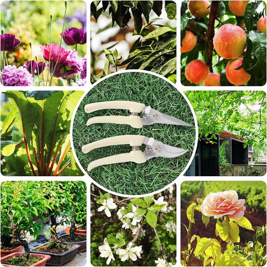 2 stuks Tuinsnoeischaar - Stevige snoeischaar - Snoeischaar voor planten - Handsnoeischaar - Tuin- en bloemenschaar - Geschikt voor het snoeien van hagen, bonsai, bloemen, takken, boomgaarden en groenten - Wit van Merkloos	 — afbeelding 2