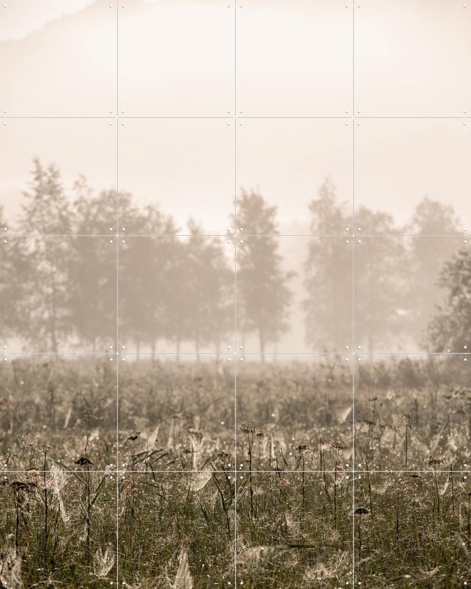 IXXI Foggy Morning, Mareike Böhmer - 80 x 100 cm - Gratis ophangtool - Grote wanddecoratie en posters - Fotografie, Landschappen, Natuur, Winter