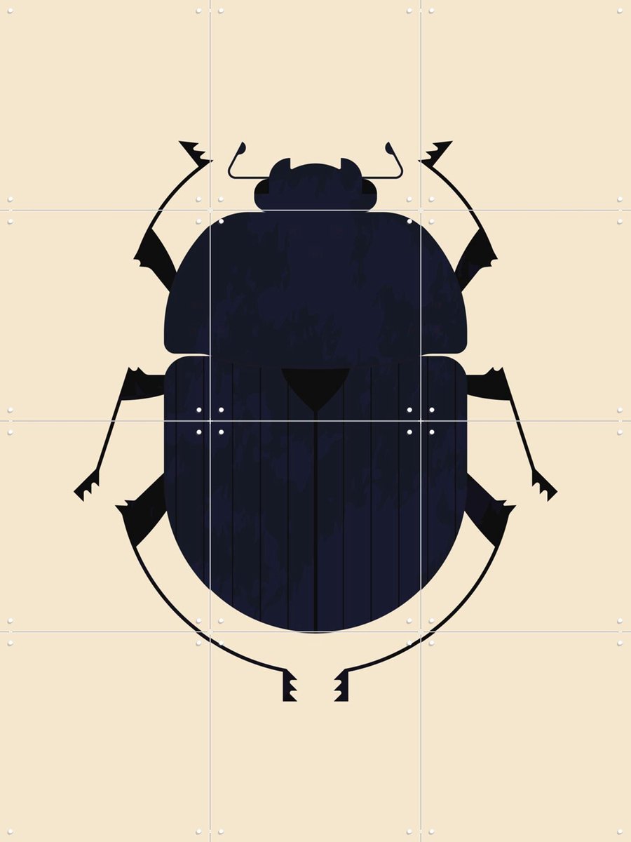 IXXI The Dung Beetle, Studio Kars + Boom - 60 x 80 cm - Gratis ophangtool - Grote wanddecoratie en posters - Geometrische Kunst, Grafisch Ontwerp