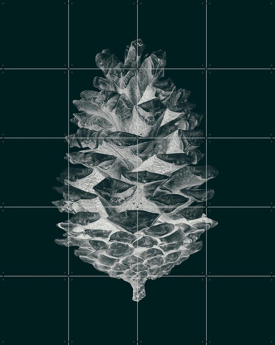 IXXI Pine Cone dark, IXXI - 80 x 100 cm - Gratis ophangtool - Grote wanddecoratie en posters - Fotografie, Illustraties, Minimalisme, Woonkamer, Gang