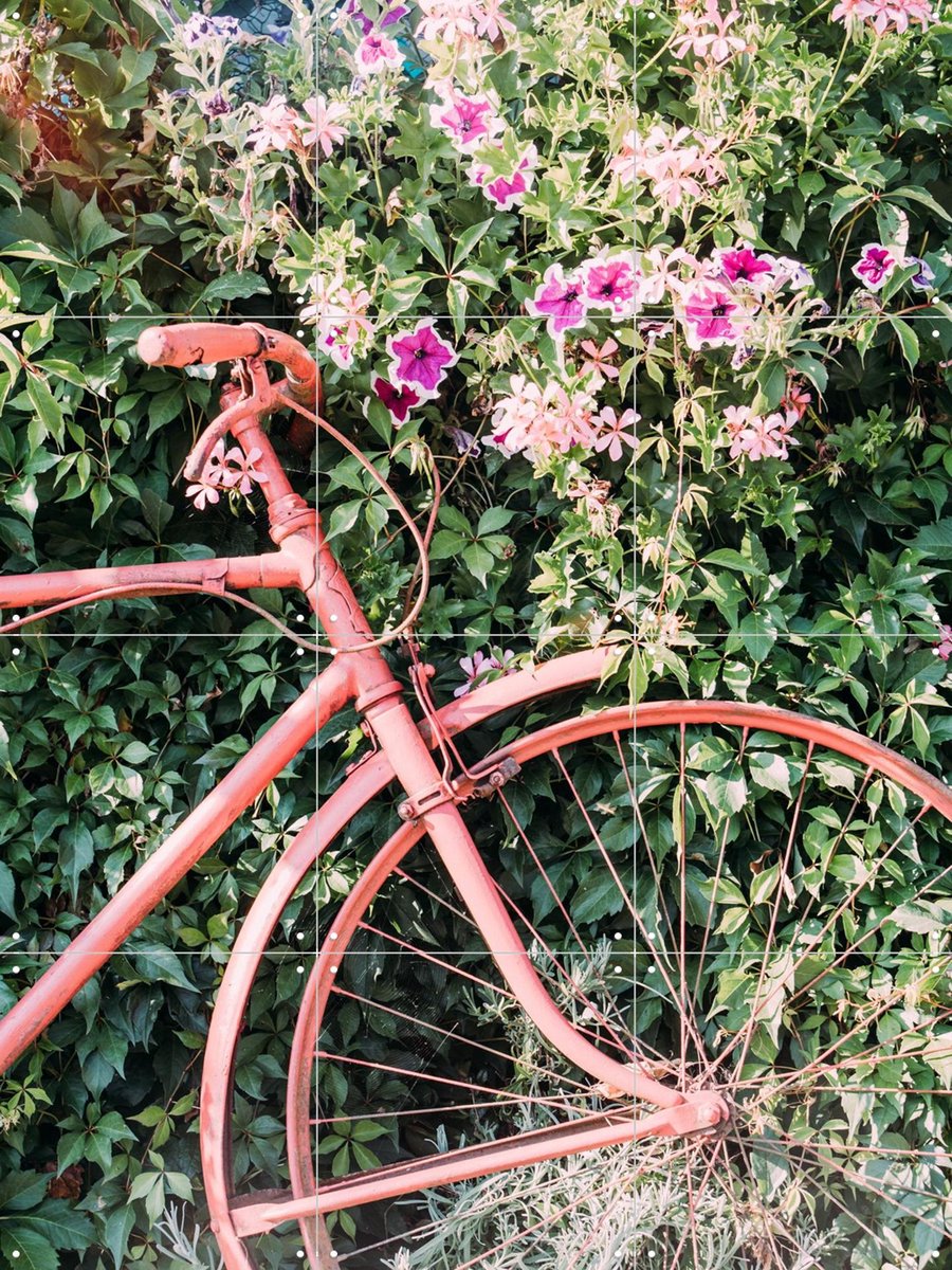 IXXI Pink Bicycle, Pati Photography - 60 x 80 cm - Gratis ophangtool - Grote wanddecoratie en posters - Kleurrijk, Vintage, Fotografie, Keuken