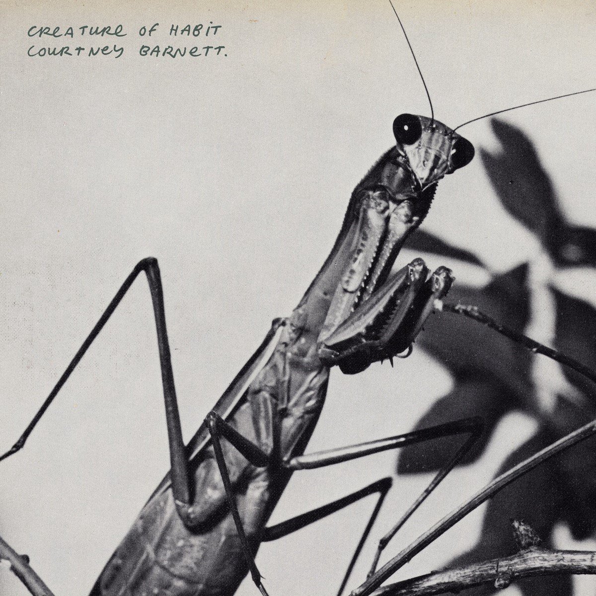 Courtney Barnett - Creature Of Habit (CD)