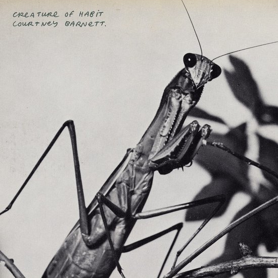 Courtney Barnett - Creature Of Habit (CD)