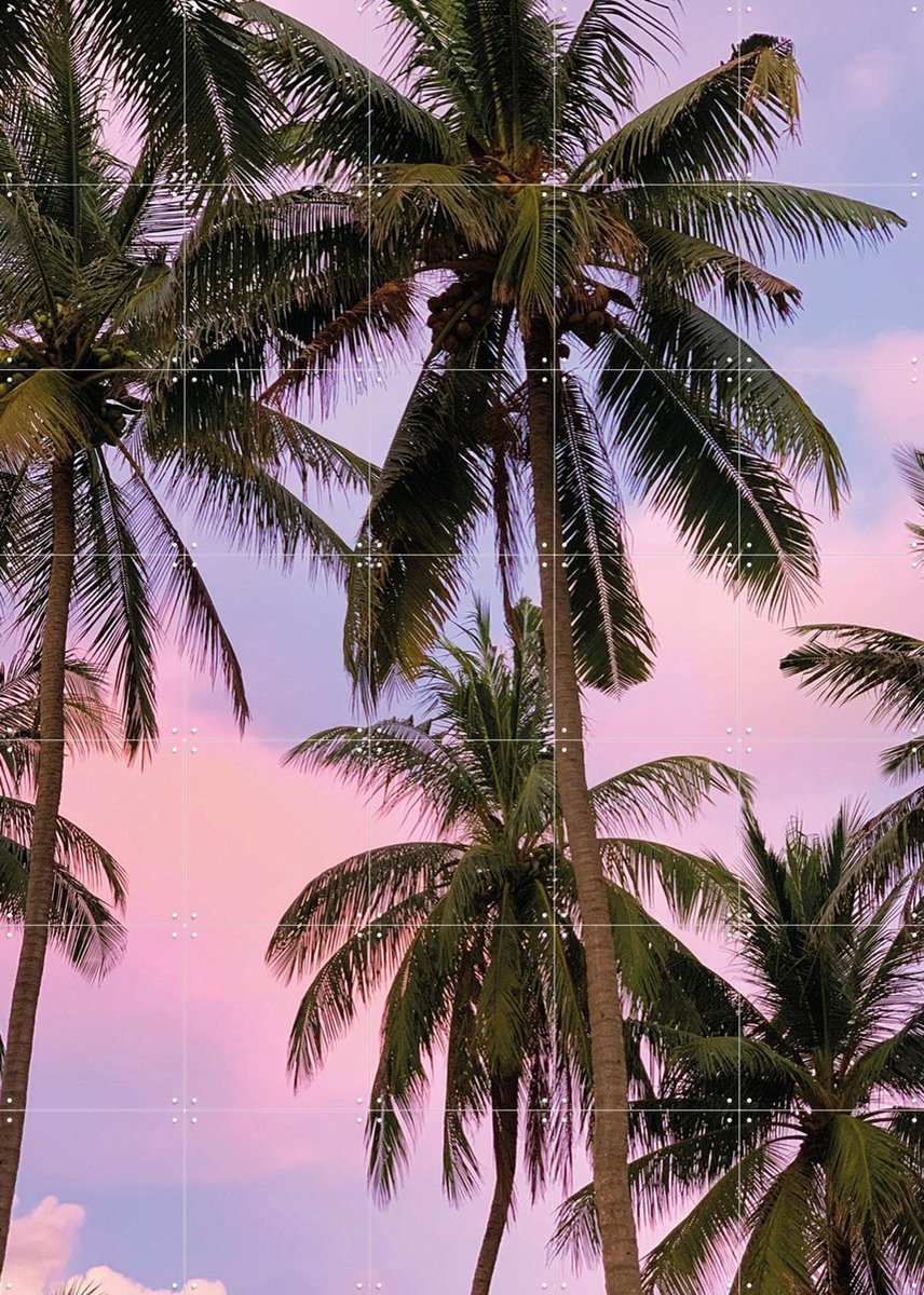 IXXI Palmy Sunrise, We Like Bali - 100 x 140 cm - Gratis ophangtool - Grote wanddecoratie en posters - Kleurrijk, Fotografie, Zomer, Botanisch
