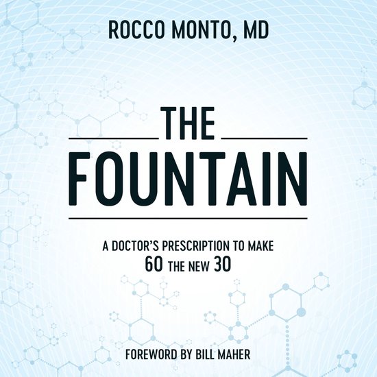 Fountain, The - cover