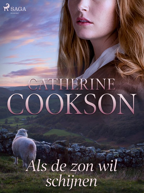 Als de zon wil schijnen - cover