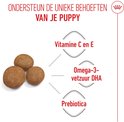 Drie ronde hondenbrokjes liggen naast iconen voor Vitamine C en E, Omega-3 vetzuur DHA en Prebiotica. Tekst: 'Ondersteun de unieke behoeften van je puppy'.