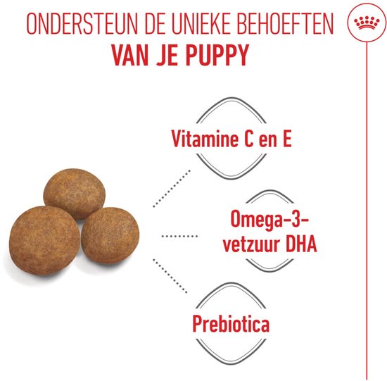 Drie ronde hondenbrokjes liggen naast iconen voor Vitamine C en E, Omega-3 vetzuur DHA en Prebiotica. Tekst: 'Ondersteun de unieke behoeften van je puppy'.