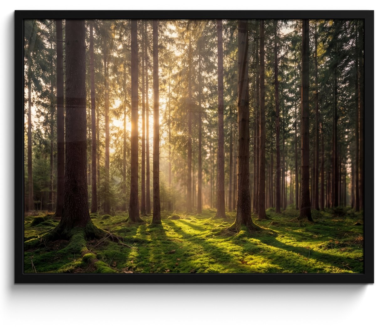 FrameYourWall Poster in lijst - Fotolijst 70x50 cm - Posters - Bos - Gras - Zonlicht - Posterlijst zwart - Decoratie - Wanddecoratie woonkamer - Muurdecoratie slaapkamer