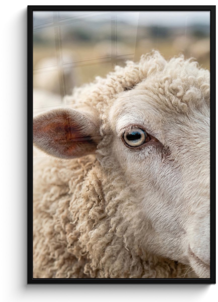 FrameYourWall Poster in lijst - Fotolijst 80x120 cm - Posters - Schaap - Oog - Wit - Posterlijst zwart - Decoratie - Wanddecoratie woonkamer - Muurdecoratie slaapkamer