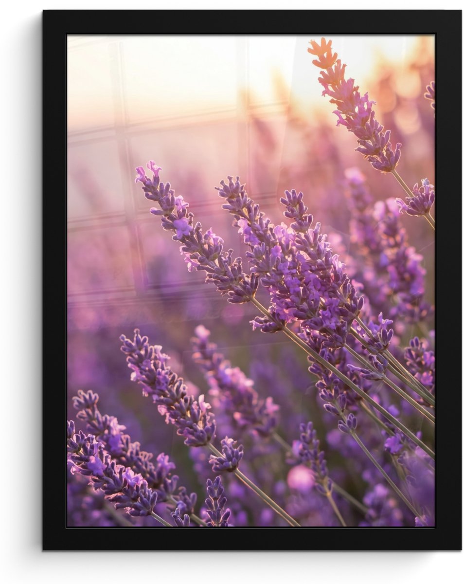 FrameYourWall Poster in lijst - Fotolijst 30x40 cm - Posters - Lavendel - Paars - Zonlicht - Posterlijst zwart - Decoratie - Wanddecoratie woonkamer - Muurdecoratie slaapkamer