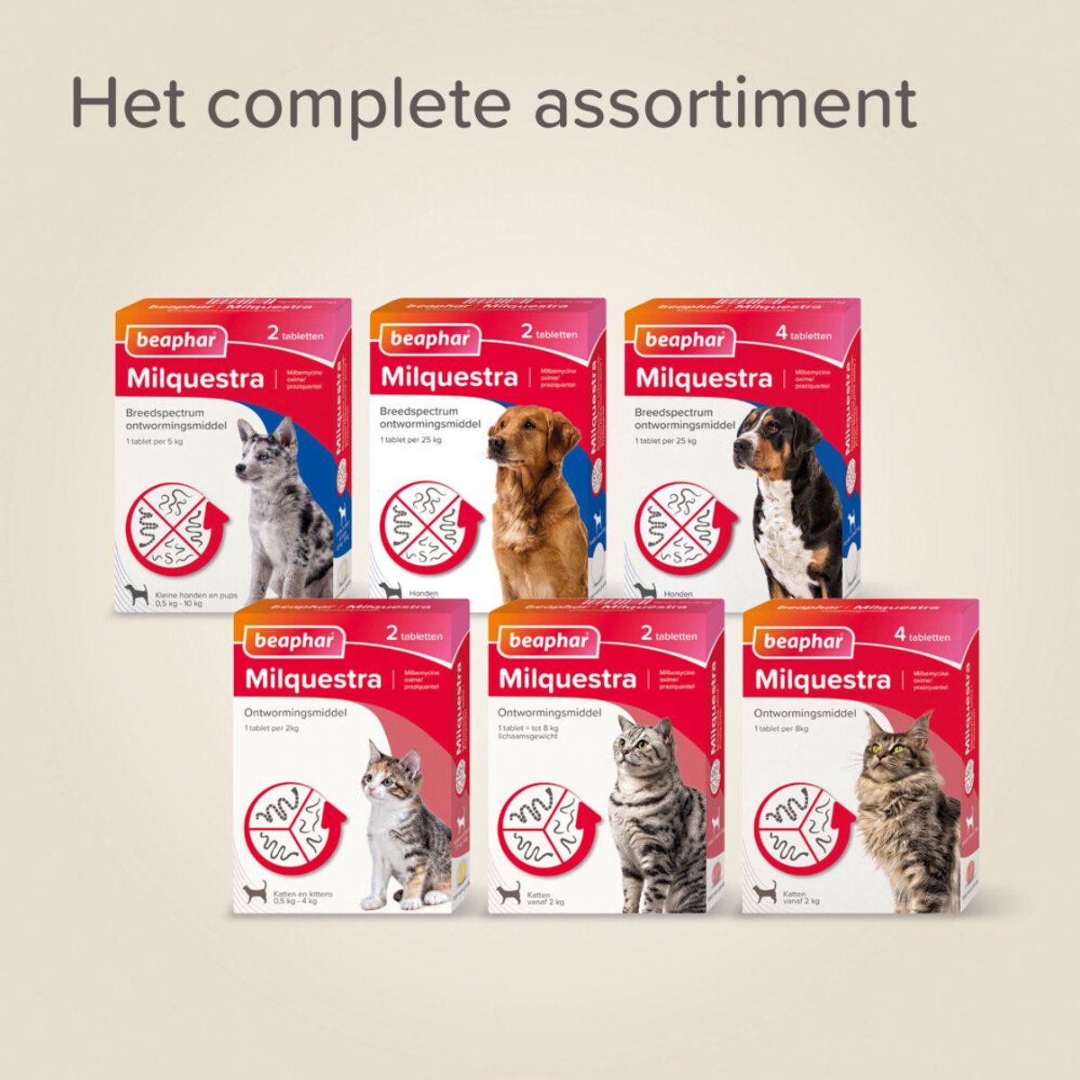 Beaphar Milquestra Kleine kat/kitten - 0,5 tot 4 Kg - 2 tabletten — afbeelding 5