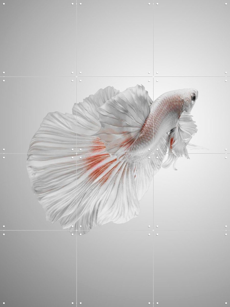 IXXI White Betta, Andi Halil & Various - 60 x 80 cm - Gratis ophangtool - Grote wanddecoratie en posters - Digitale Kunst, Fotografie, Slaapkamer