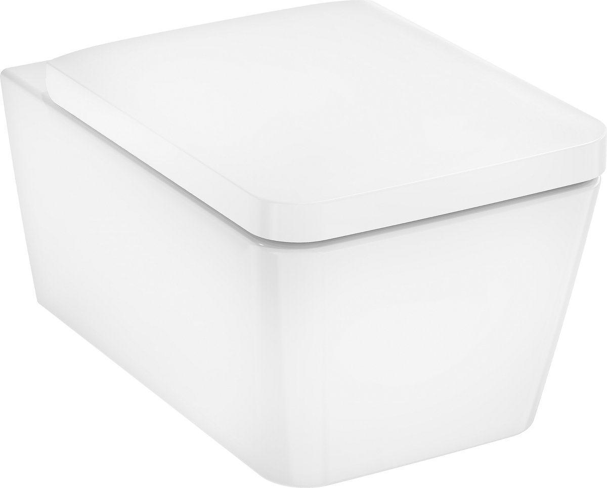 Beste Hangende Toiletten 2026 Hansgrohe EluPura Q